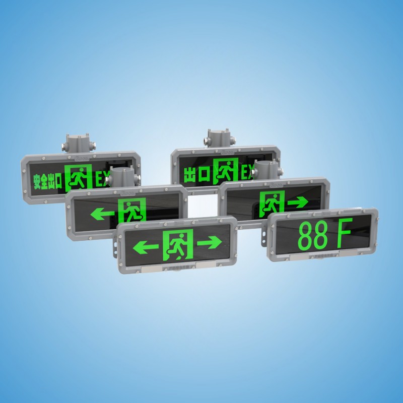 Intelligent Fire Evacuation System