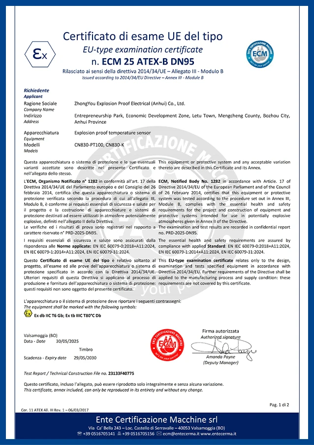 EX temperature sensor