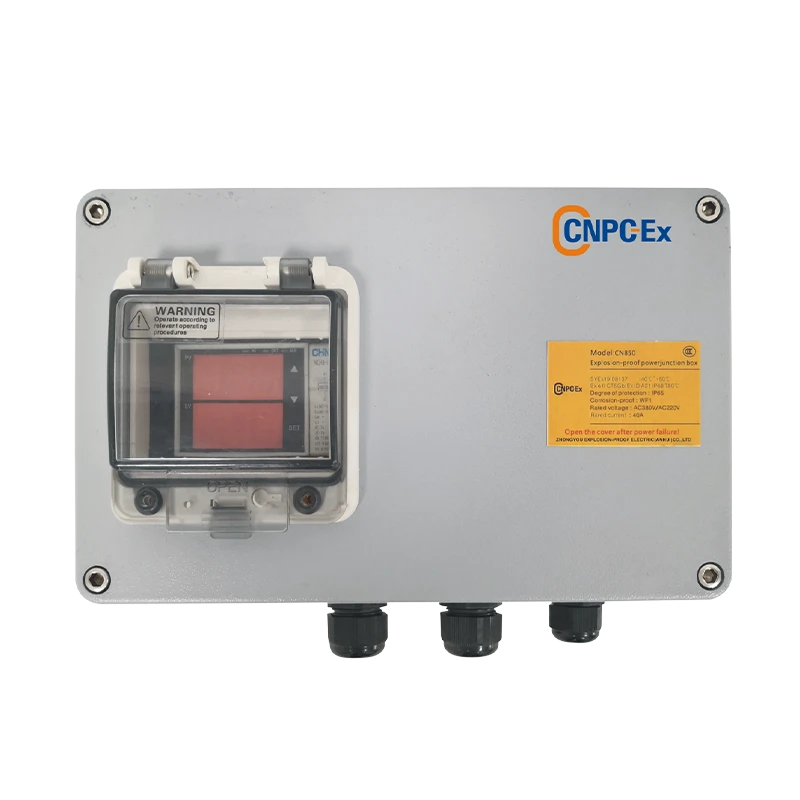 CN810/8110 Intelligent Explosion-Proof Temperature Controller