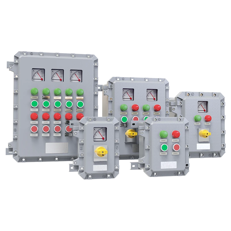 CN200 Explosion-Proof Control Panel