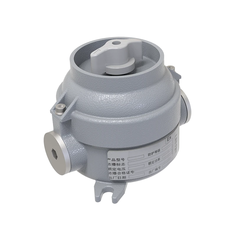 CN300 Explosion-Proof Lighting Switch