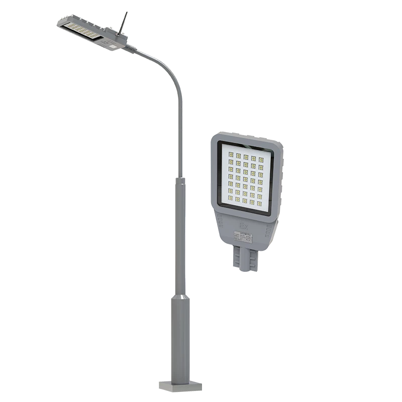CNAM Smart Explosion-Proof Street Lights