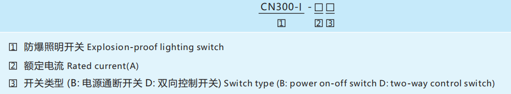 CN300 Explosion-Proof Lighting Switch