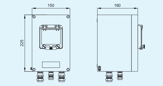 CN810/8110 Intelligent Explosion-Proof Temperature Controller