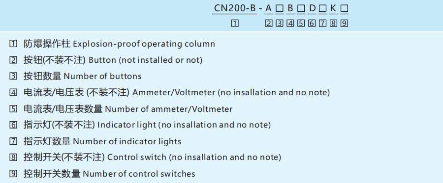 CN200 Explosion-Proof Control Panel